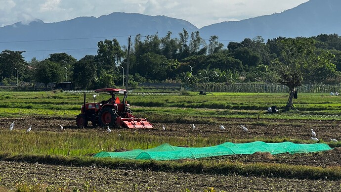 der Gemüseanbau beginnt...