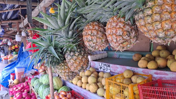 15-philippinen-forum-maerkte-bacong-obstmarkt-03