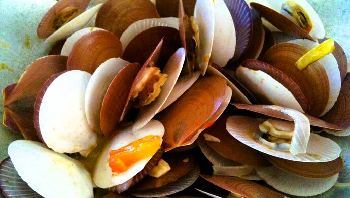 29-philippinen-forum-wissenswertes-capiz-muscheln-00