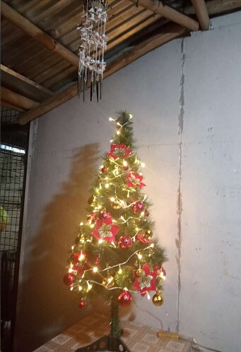 Bildschirmfoto 2024-11-22 um 13.13.55