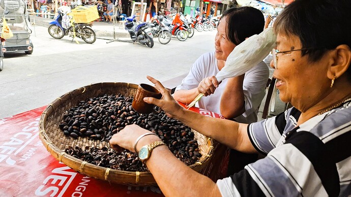 15-philippinen-forum-schnappschuss-kakaobohnen-vorbeireiten