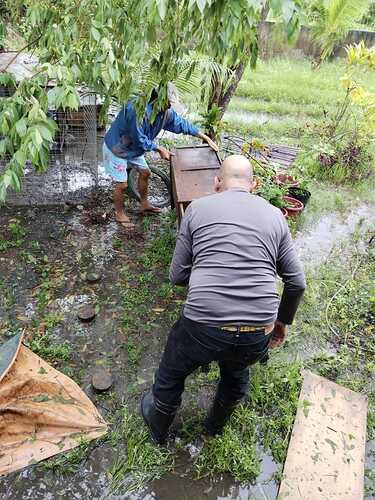 Das Aufräumen nach dem Sturm 04