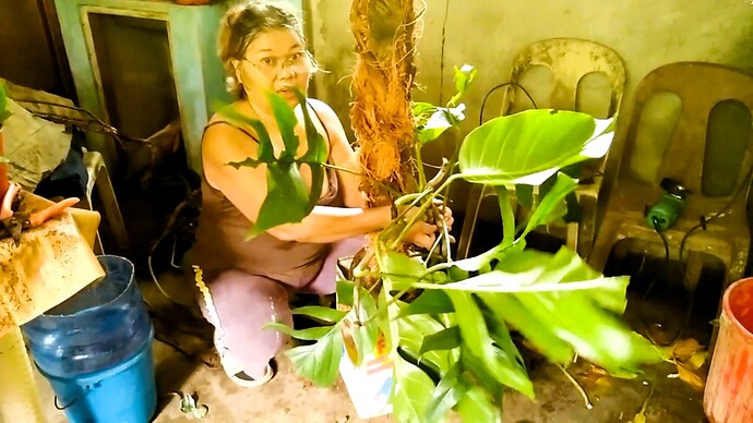 17-philippinen-forum-bei-uns-zuhause-in-cdo-53