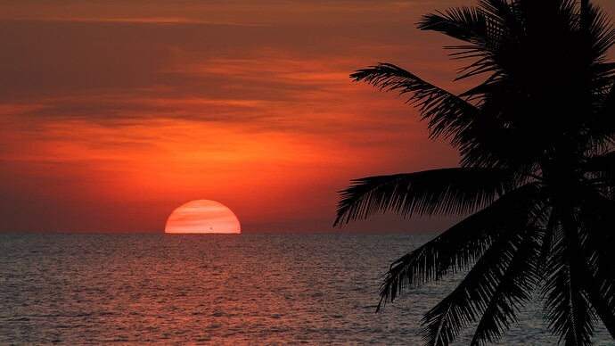 IMG_13645_20052025 copy