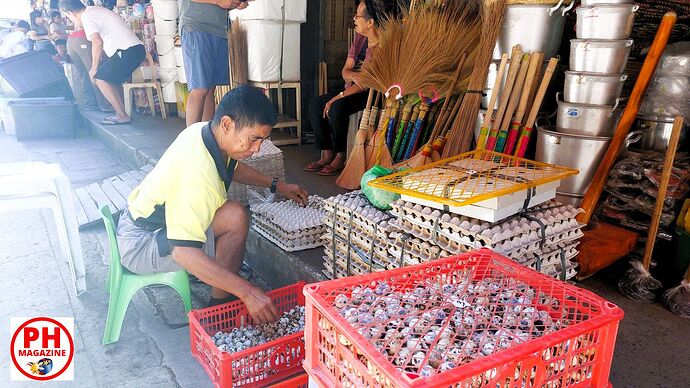 22-philippinen-forum-lebenshunterhalt-02