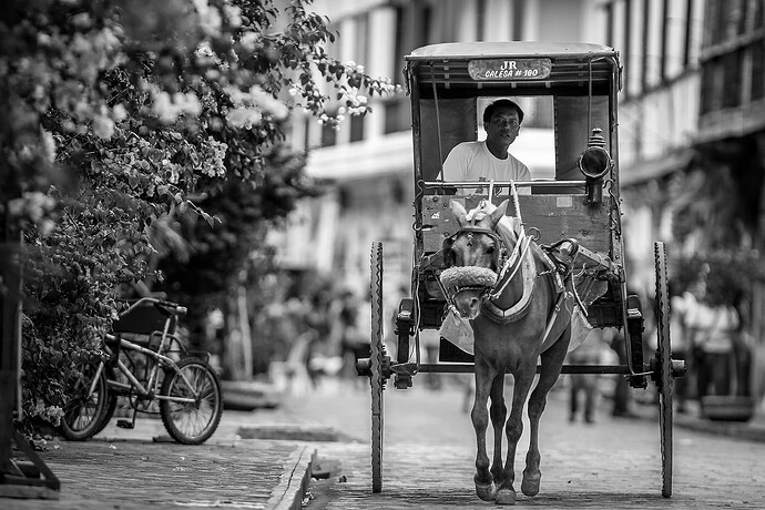 12_03_30Vigan00168-Bearbeitet