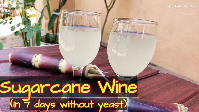 16-philippinen-forum-taegliche-geschichte-basi-wine-02