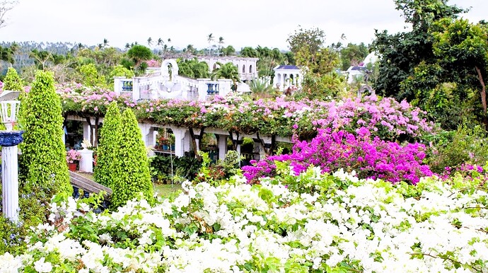 23-philippinen-forum-pilgerorte-marian-orchard-04