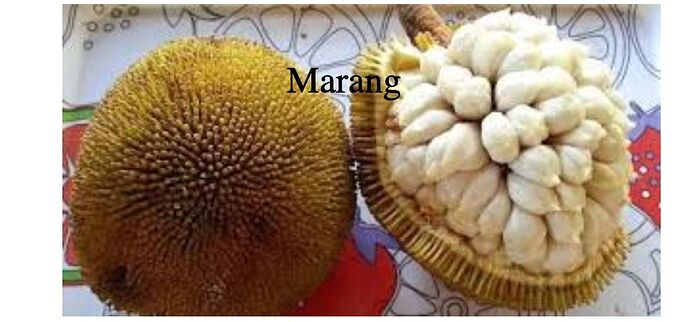 13-philippinen-forum-proinzen-sarangani-05