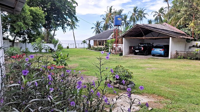 10-05-2025-philippinen-forum-blumenecke-00