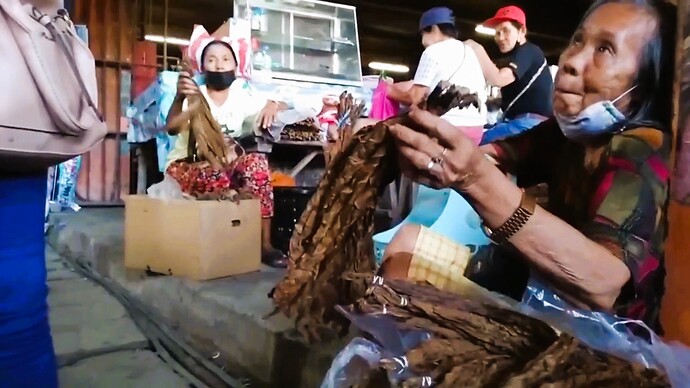 12-philippinen-forum-video-unterwegs-mindanao-tobacco-00