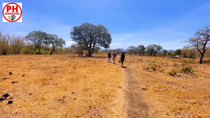 30-07-2025-philippinen-forum-wetter-aktuell-01