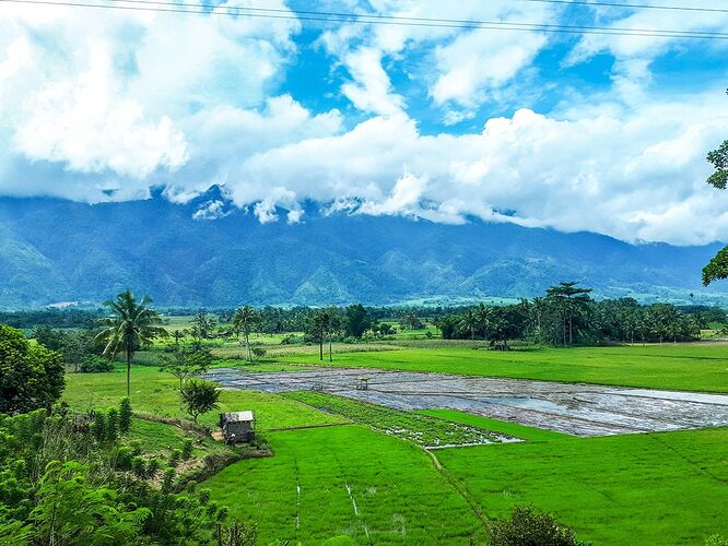 18-philippinen-forum-provinzen-davao-de-oro-01