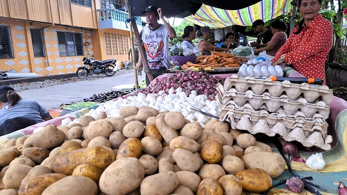 29-philippinen-forum-bei-uns-in-dauin-07