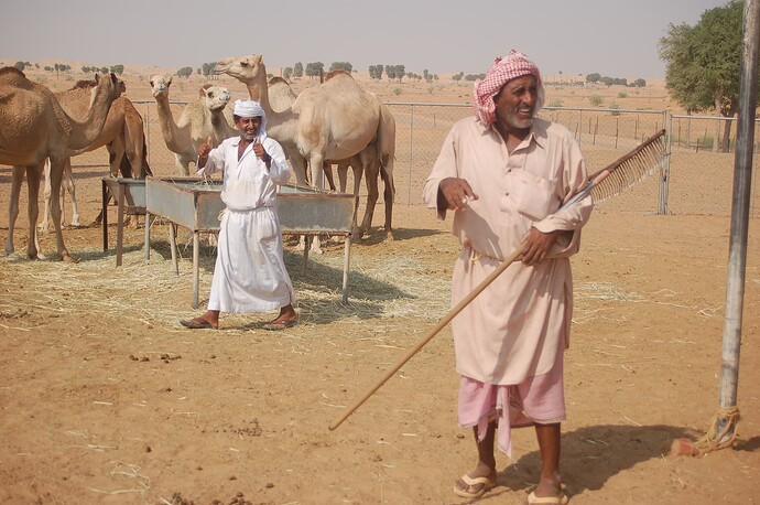 Dubai_2009 1171