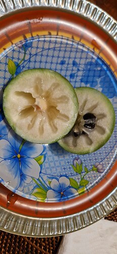 250222-Makato Star-Apples