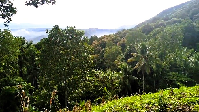 17-philippinen-forum-bei-uns-zuhause-in-cdo-33