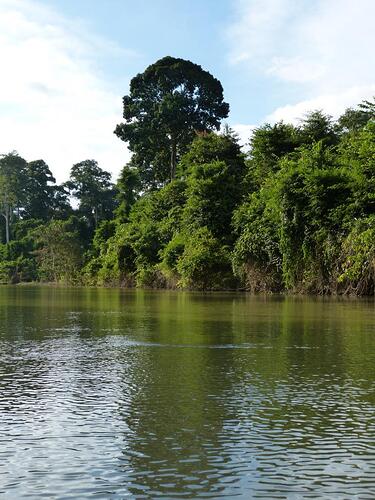 ulu muda touren (15)