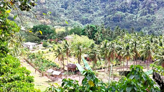 18-philippinen-forum-unterwegs-in-negros-upper-okoy-tal-valencia-21