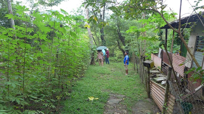 Die KommissionsJäger02