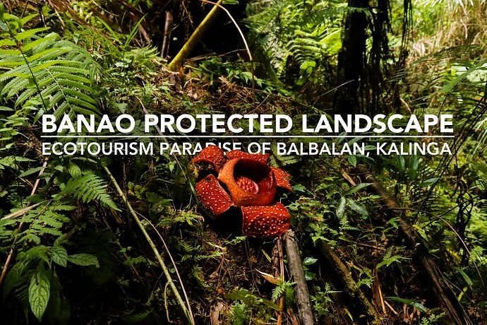 31-philippinen-forum-nationalparks-balbalasang-balbalan-01