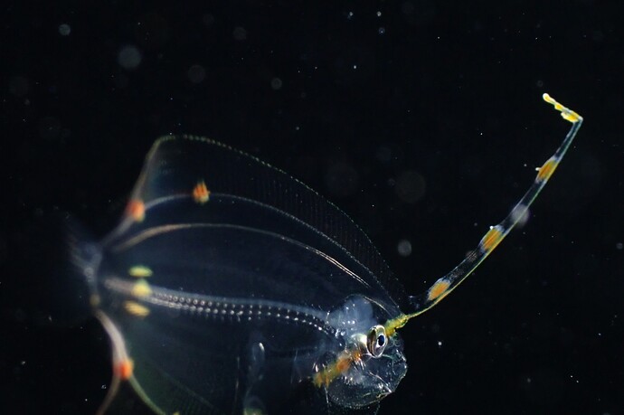 458179545_957203133121610_1792976992213996558_n