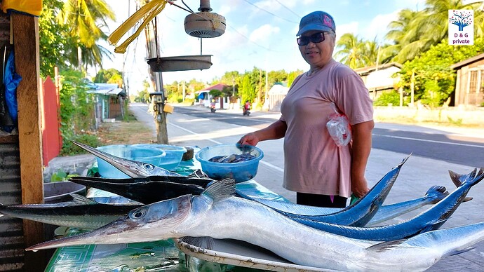 29-philippinen-forum-fisch-kaufen-02