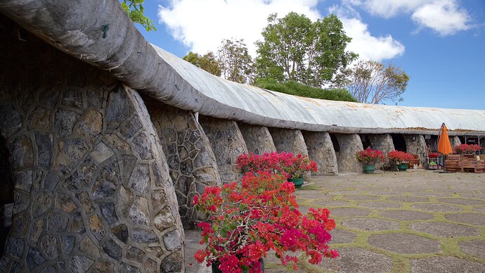 The old TOPS Cebu 06