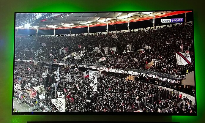 SGE vs. Slavia