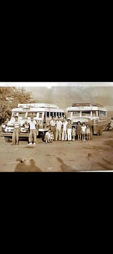 Expressbusse Antique 50er Jahre 08