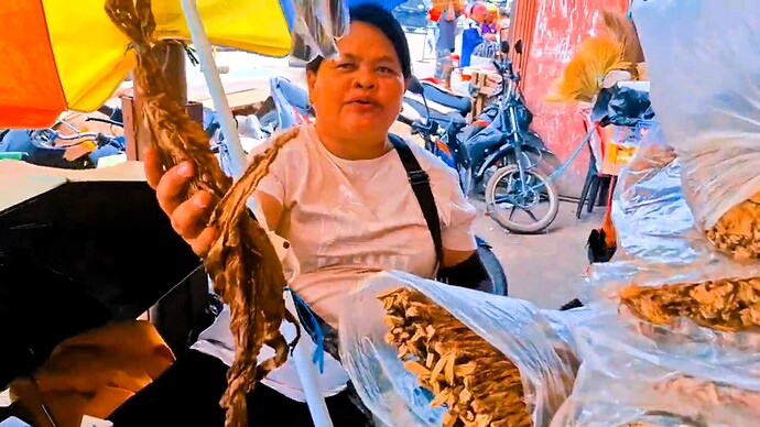 12-philippinen-forum-video-unterwegs-mindanao-tobacco-05