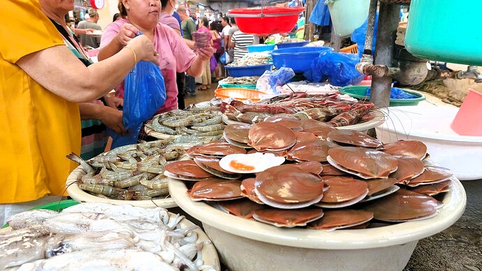02-philippinen-forum-maerkte-fischanlieferung-dumaguete-05