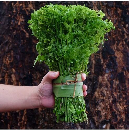 17-philippinen-forum-gemuese-pako-02