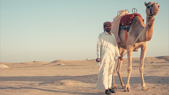 dubai-desert-camel