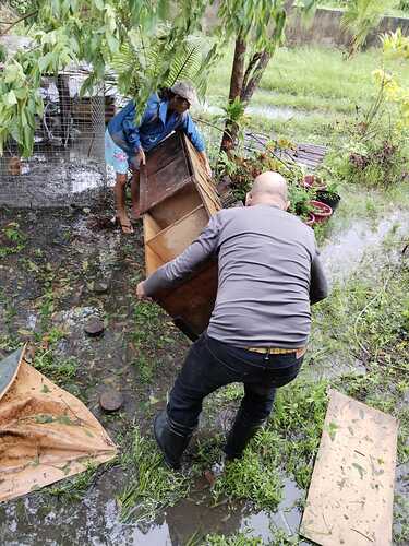 Das Aufräumen nach dem Sturm 03