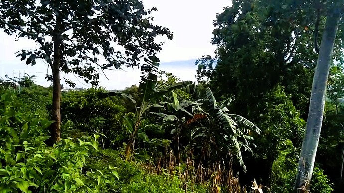 17-philippinen-forum-bei-uns-zuhause-in-cdo-30