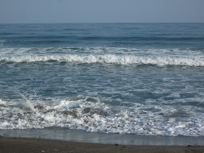 DSCF0572