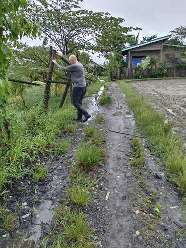 Das Aufräumen nach dem Sturm 01
