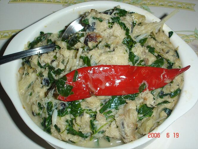 22-philippinen-forum-provinzen-camarinas-norte-05