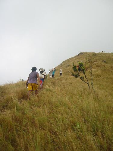 Mount Tundalara (20)