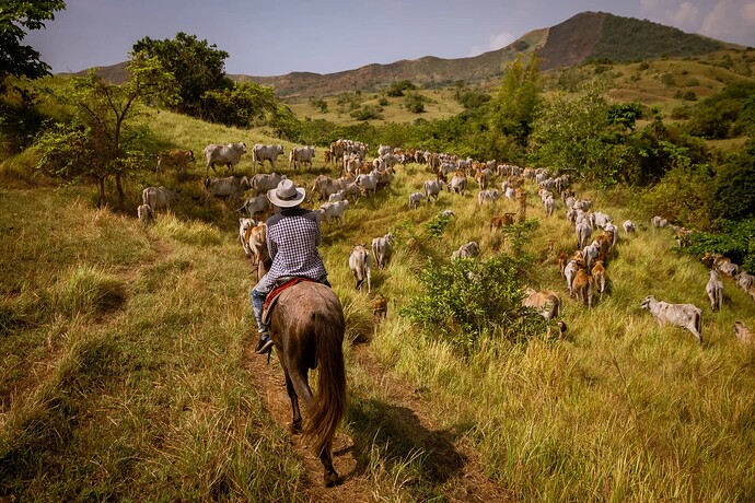 Texas der Philppinen - Masbate