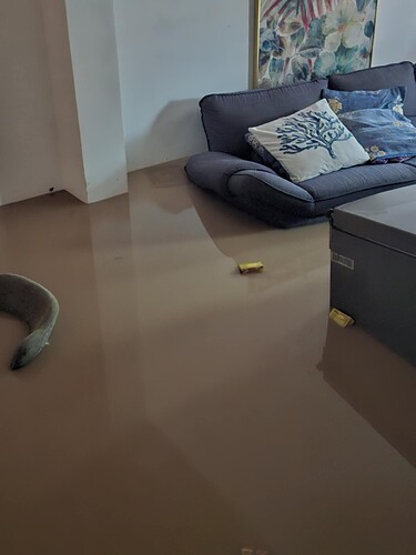 3da8a3c9-5d80-48ab-b24a-79a428b02993