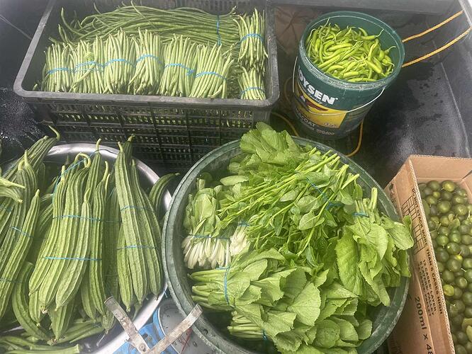 207e134a-4e11-48c8-ba7d-31ca4d52d0e0