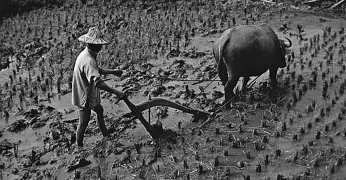 02-philippinen-forum-taegliche-geschichte-landwirtschaftsschule