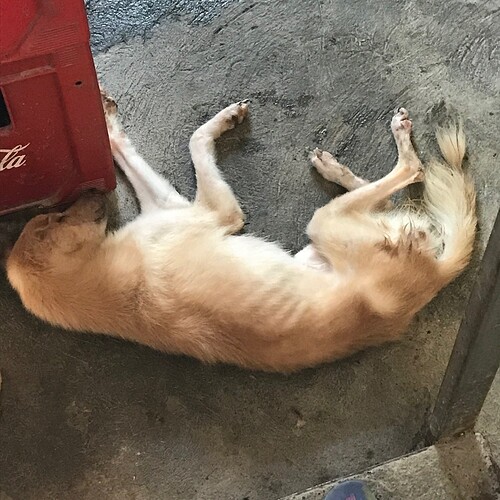 Milky's letzter Tag02