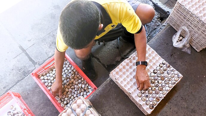 22-philippinen-forum-lebenshunterhalt-05