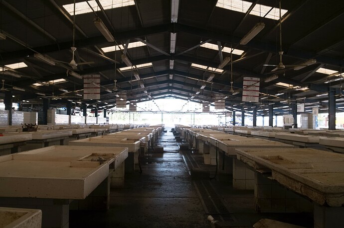 dubai-deira-fish-market-02