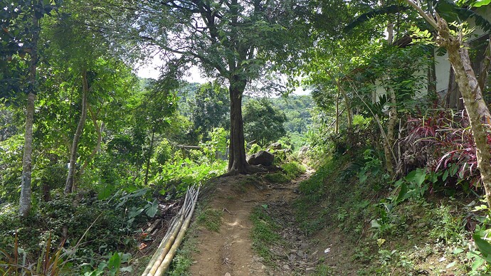 Balay Kape Nagpana Coffee 02