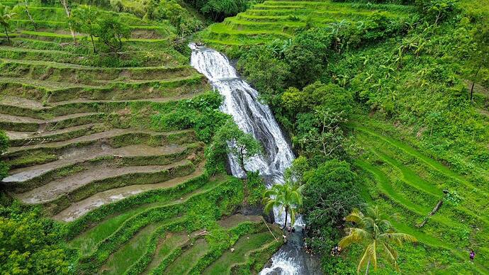 Reisterrassen Mt Igmatongtong 02