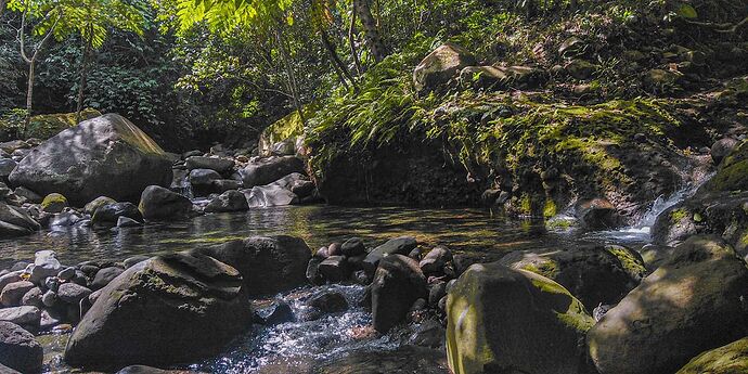 17-philippinen-forum-nationalparks-bataan-02